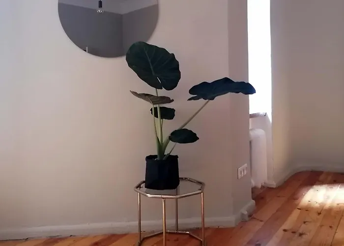 Spacious 75sqm Art Nouveau District Gem *